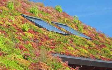 Nettleton Shrub living roof systems