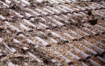 Nettleton Shrub roof cleaning companies