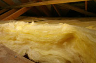 Nettleton Shrub pitch roof insulation